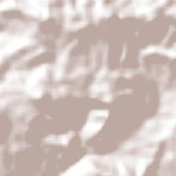 Texcaltitán Xoteapan (Texcaltitán) Terrain Map