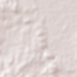 Nicolás Bravo Terrain Map