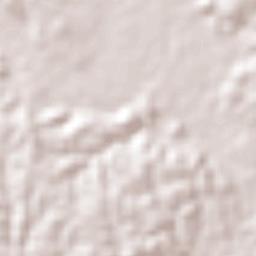 El Carril Terrain Map