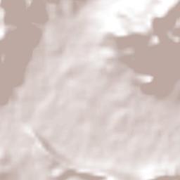 Villa Madero Terrain Map