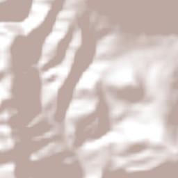 San Martín Pachivia (Pachivia) Terrain Map