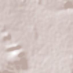 Necoxtla Terrain Map