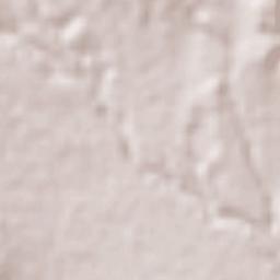 Tepetzingo Terrain Map