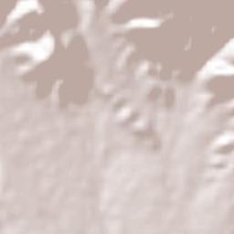 San José Buena Vista Terrain Map