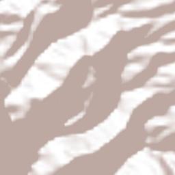 Cuautotolapan (San José) Terrain Map