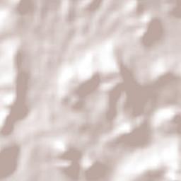 Cerro las Iguanas Terrain Map