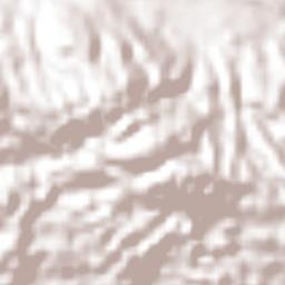 Roehampton Terrain Map