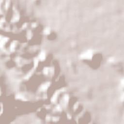 Dumfries Terrain Map