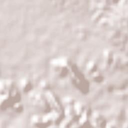 Wakefield Terrain Map