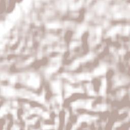 Perth Town Terrain Map