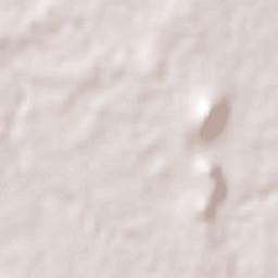 Ciudad Altamirano Terrain Map