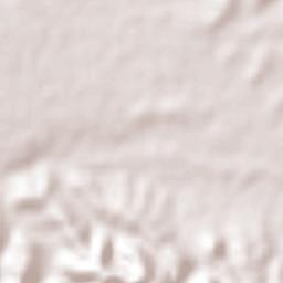 Huehuetlan el Chico Terrain Map