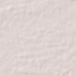 Álvaro Obregón (Santa Cruz) Terrain Map