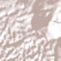 Welcome Hall Terrain Map