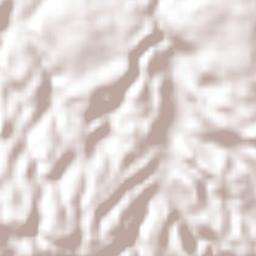 Charles Town Terrain Map