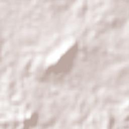 Guaynabo Terrain Map