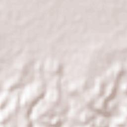 La Dolores Terrain Map