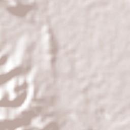 Coyuca de Catalán Terrain Map