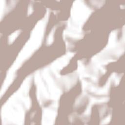 Coatepec Costales Terrain Map