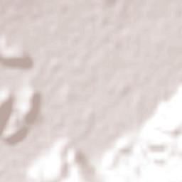 Iguala de la Independencia Terrain Map