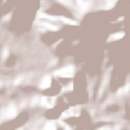 Jolalpan Terrain Map