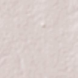 Zinacatepec Terrain Map