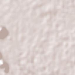 Rancho Grande Terrain Map