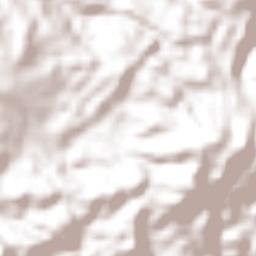 Zapoapan de Cabañas Terrain Map