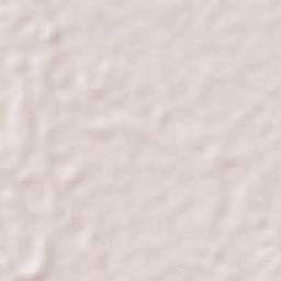 Ignacio Zaragoza 1ra. Sección Terrain Map