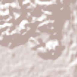 Burnt Savannah Terrain Map