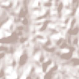 Trujillo Alto Municipio Terrain Map