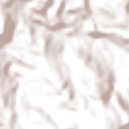 Río Grande Municipio Terrain Map