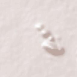 Karimnagar Terrain Map