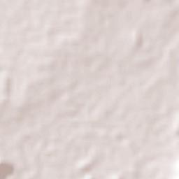 Amuco de la Reforma Terrain Map