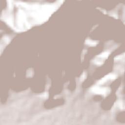 San Antonio de las Huertas Terrain Map