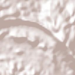 Tlapehuala Terrain Map