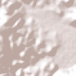 Ciudad de Huitzuco Terrain Map