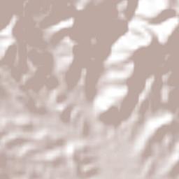 San Vicente Boquerón Terrain Map