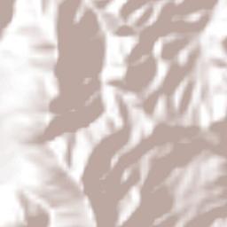 San Juan Atzingo Terrain Map