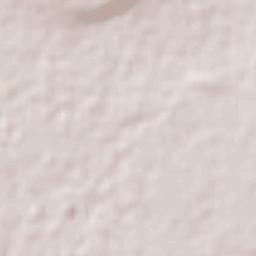 San Jerónimo Axochitlán Terrain Map