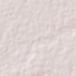 Nopaltepec Terrain Map