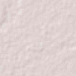 Cosamaloapan de Carpio Terrain Map