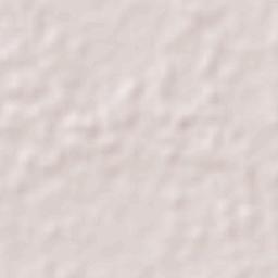 Nicolás Bravo 5ta. Sección (Punta Brava) Terrain Map