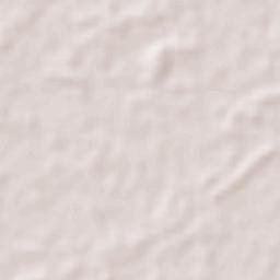 Mecoacán 2da. Sección (San Lorenzo) Terrain Map