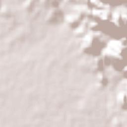 Fort Williams Terrain Map