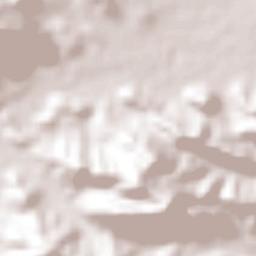 Fajardo Municipio Terrain Map