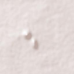 Chipurupalle Terrain Map