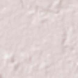 Corral Falso Terrain Map