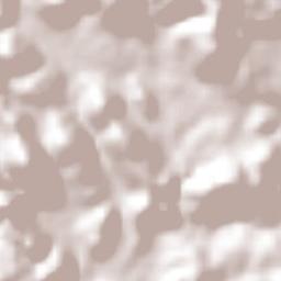 San Miguel de las Palmas Terrain Map