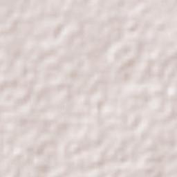 Colonia Adolfo Ruiz Cortines (Colonia Obrera) Terrain Map